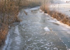 Décembre 2007