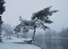 Décembre 2008