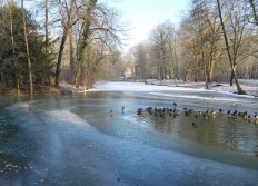 Janvier 2009