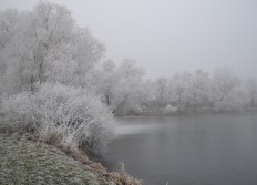 Décembre 2016