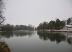 Janvier 2008