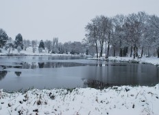 Novembre 2010